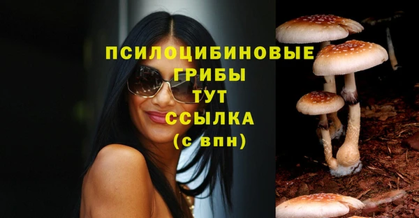 ГАЛЛЮЦИНОГЕННЫЕ ГРИБЫ Каменск-Шахтинский