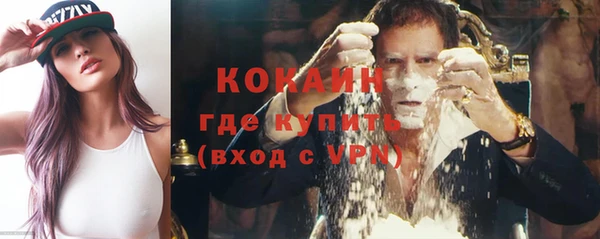 Альфа ПВП Каменка