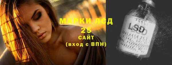 соль ск Каменногорск