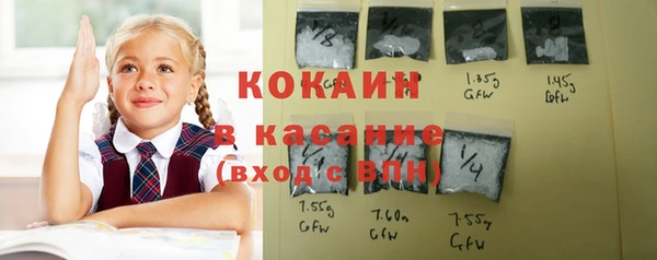Альфа ПВП Каменка