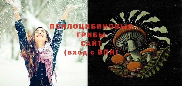 соль ск Каменногорск