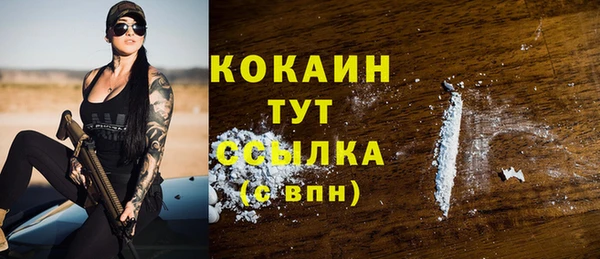 соль ск Каменногорск