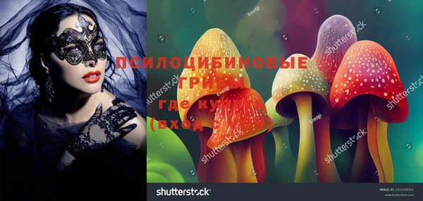 ГАЛЛЮЦИНОГЕННЫЕ ГРИБЫ Каменск-Шахтинский