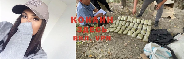 ГАЛЛЮЦИНОГЕННЫЕ ГРИБЫ Каменск-Шахтинский